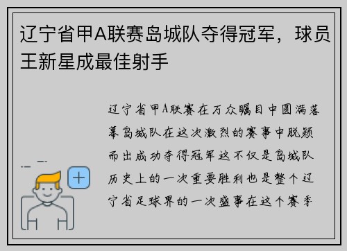 辽宁省甲A联赛岛城队夺得冠军，球员王新星成最佳射手